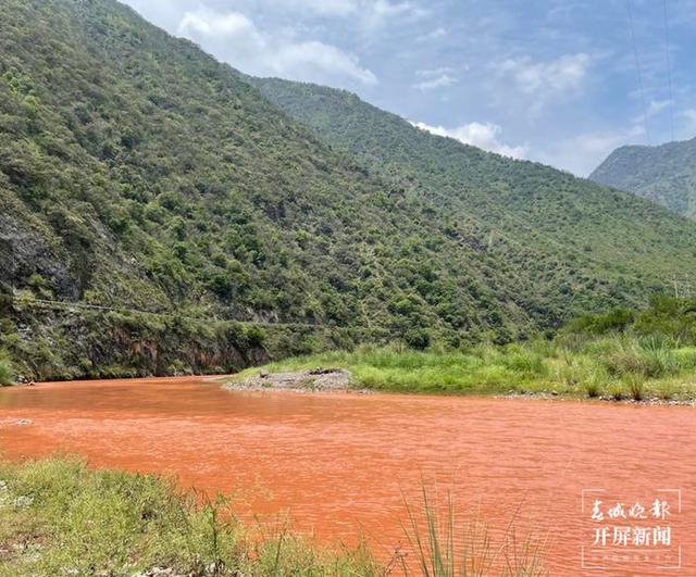 我国特有！国家二级保护植物！玉溪易门发现箭叶大油芒野生种群休闲区蓝鸢梦想 - Www.slyday.coM