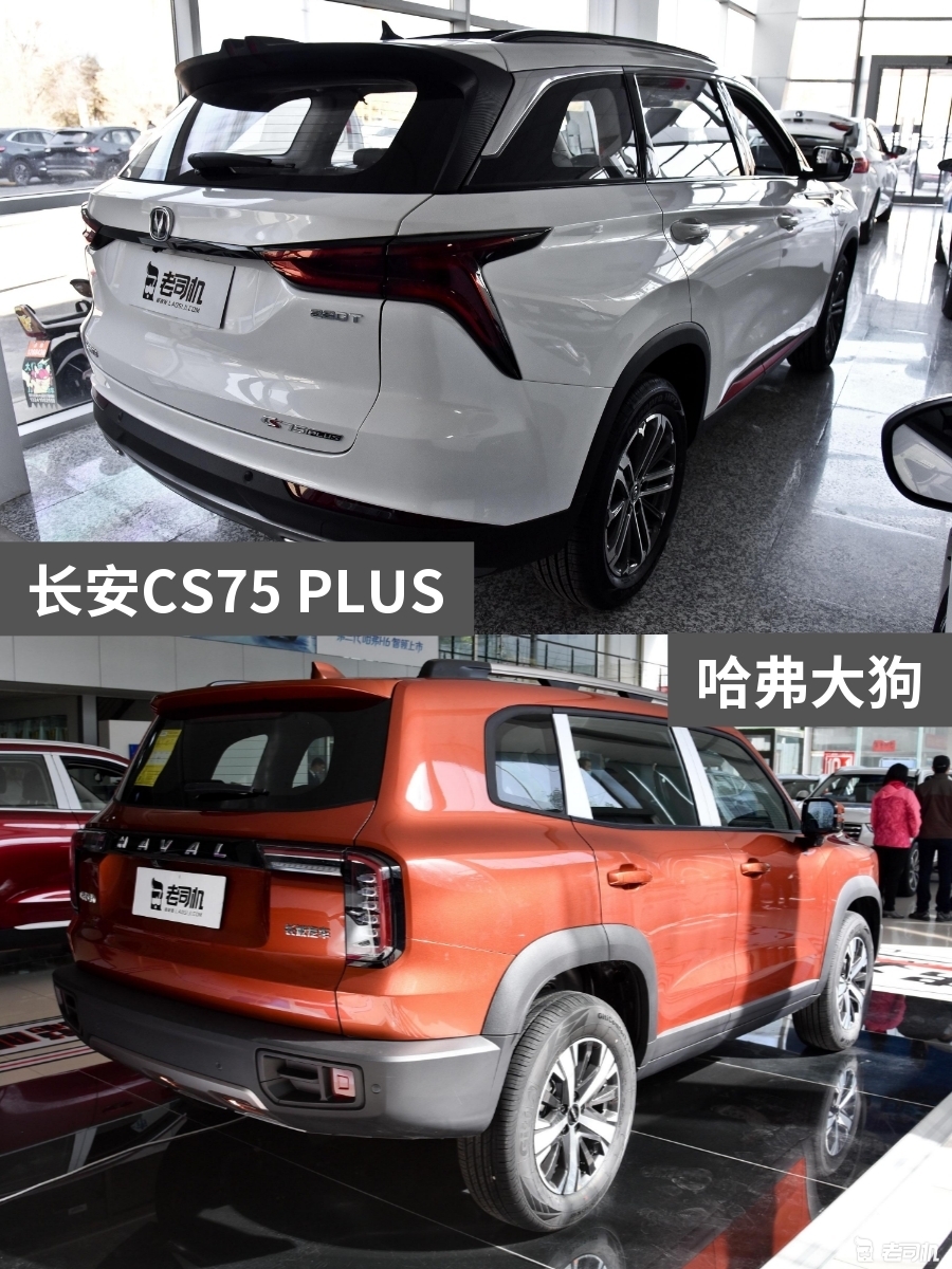 长安cs75 plus vs 哈弗大狗-新浪汽车