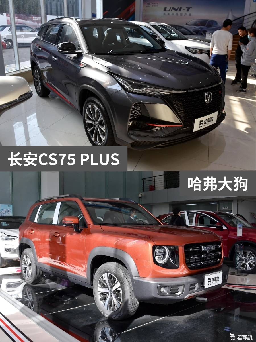 长安cs75 plus vs 哈弗大狗-新浪汽车