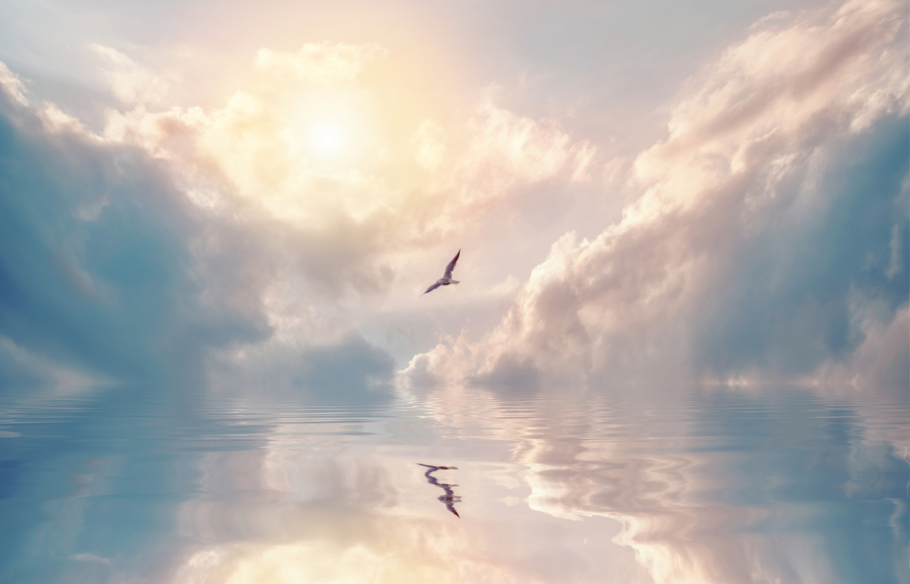 弄潮深评卖云者火了云朵之上是另一片天空