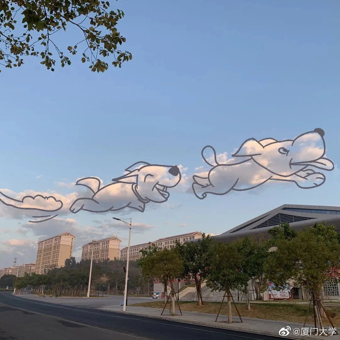 点开看厦大的云真奇妙