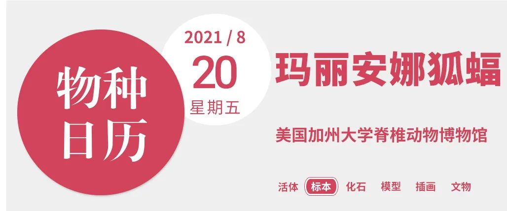 被剥夺体力、脑力甚至呼吸，都因为这道“传统美食”