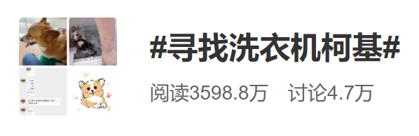 全网都在寻找洗衣机柯基！希望我们还来得及...休闲区蓝鸢梦想 - Www.slyday.coM