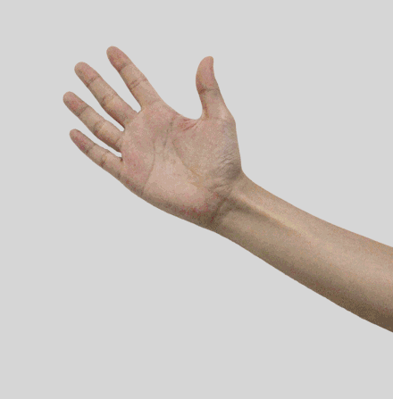 440_447gif 动态图 动图