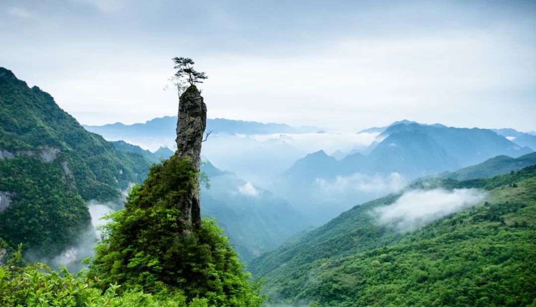 八台山植被丰富,奇山异景,森林覆盖面积广,夏季平均气温22℃,负氧离子