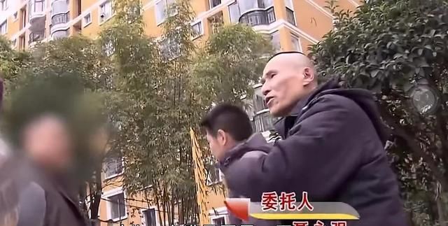 农村夫妇收养弃婴,12年后被亲生父母抢走,养父母一家痛不欲生休闲区蓝鸢梦想 - Www.slyday.coM