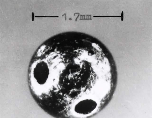 扫黑风暴:马帅死于蓖麻毒素,号称暗杀的完美毒药有多厉害?休闲区蓝鸢梦想 - Www.slyday.coM 扫黑风暴:马帅死于蓖麻毒素,号称暗杀的完美毒药有多厉害?休闲区蓝鸢梦想 - Www.slyday.coM