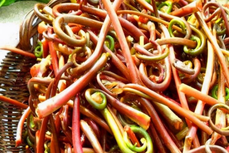 女性不想变老,多吃3种食物,补充营养,清热解毒,早吃早好|薇菜|营养