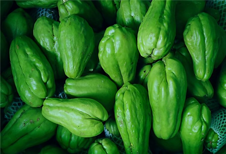 对身体很好的食物,平时常吃一些,滋补肝肾,延缓衰老,好处多多|佛手瓜