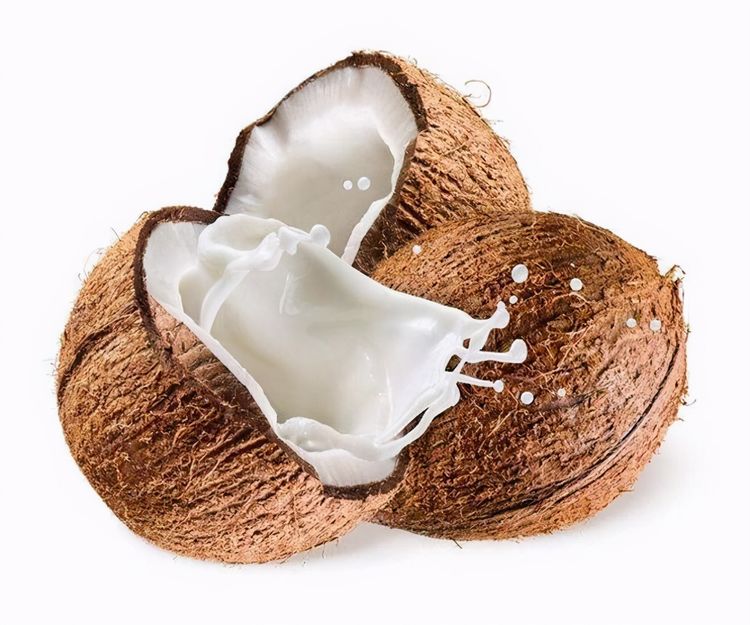 椰子是椰子树的果实,是由外层为纤维的壳组成的,以及椰汁和椰肉组成的