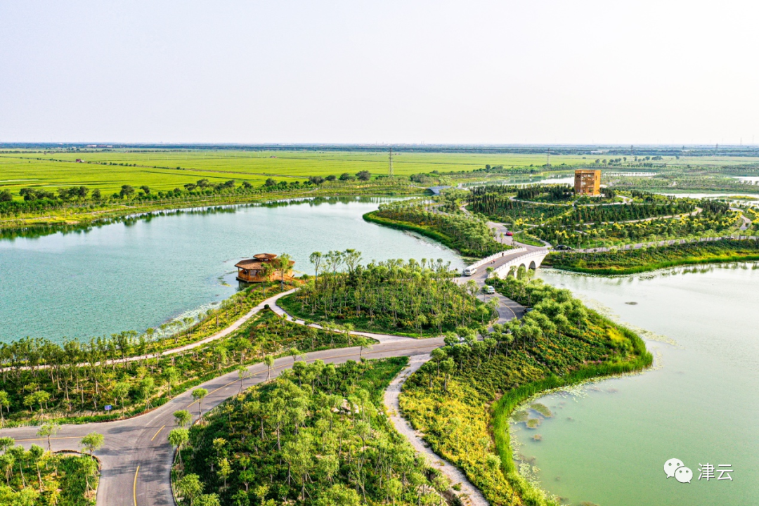 津城又一条城市生态绿廊!周末游玩新去处