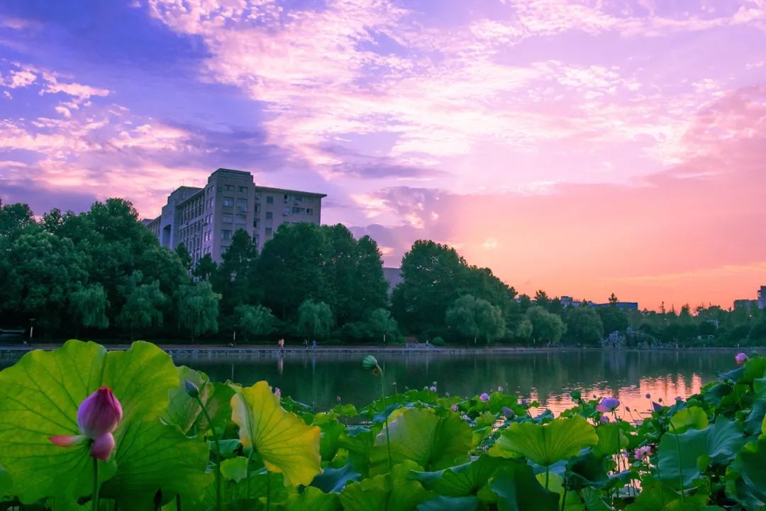 浙江师范大学公开招聘人员只等你来