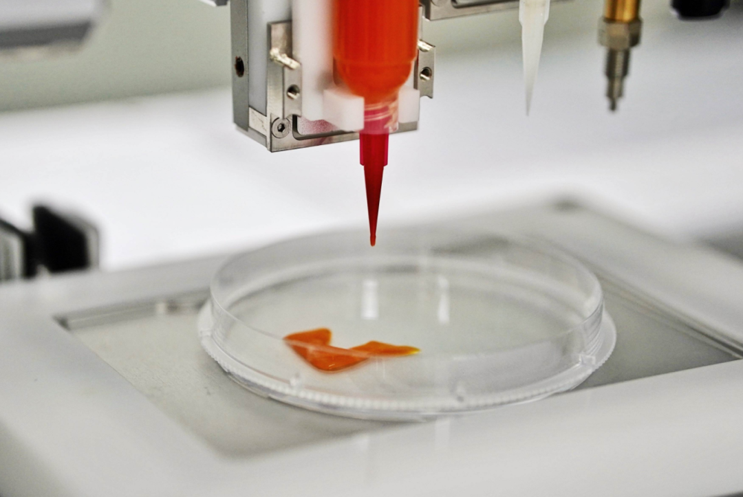 3d打印出类似真肉的口感细胞培养肉公司cellx完成数千万元人民币天使