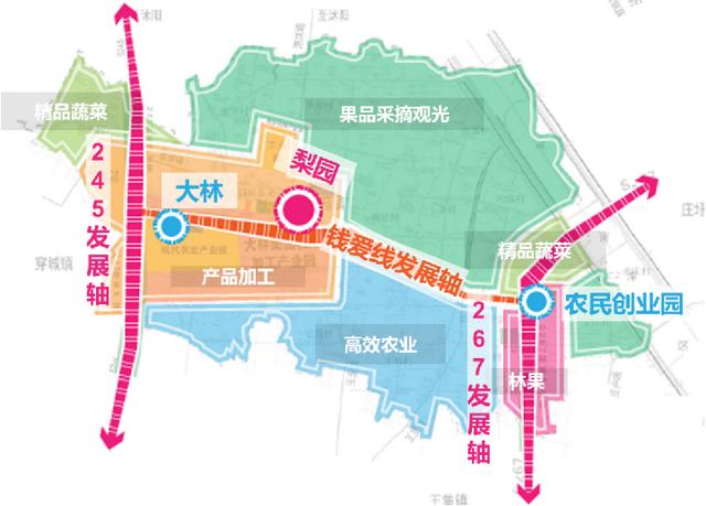 宿迁泗阳爱园:学史力行促发展绘就"三个爱园"美好蓝图
