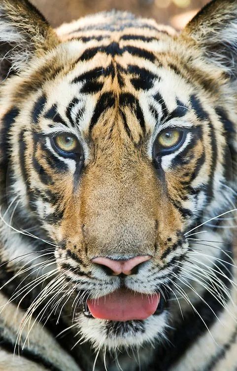 这气质,这眼神漂亮又迷人!__财经头条