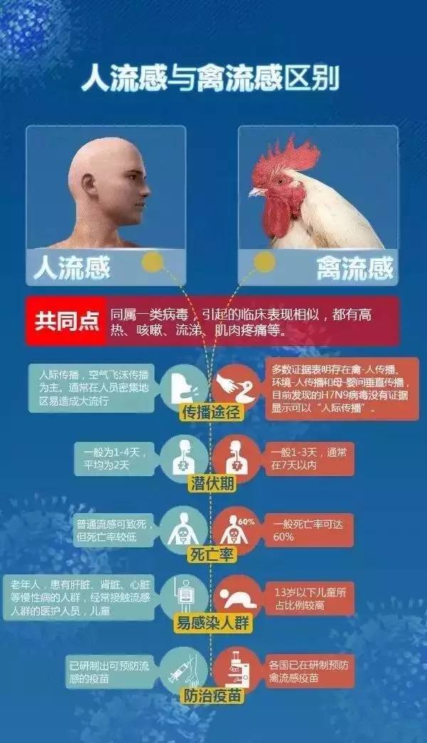 禽流感! 惠州报告1例h5n6病例
