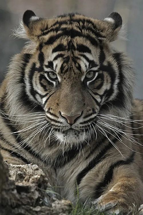 这气质,这眼神漂亮又迷人!__财经头条