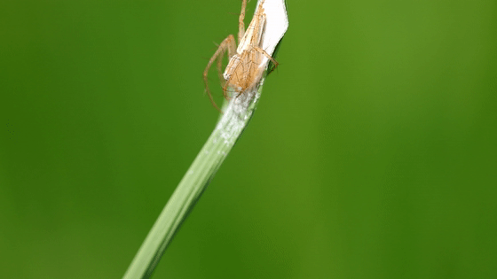 560_315gif 动态图 动图