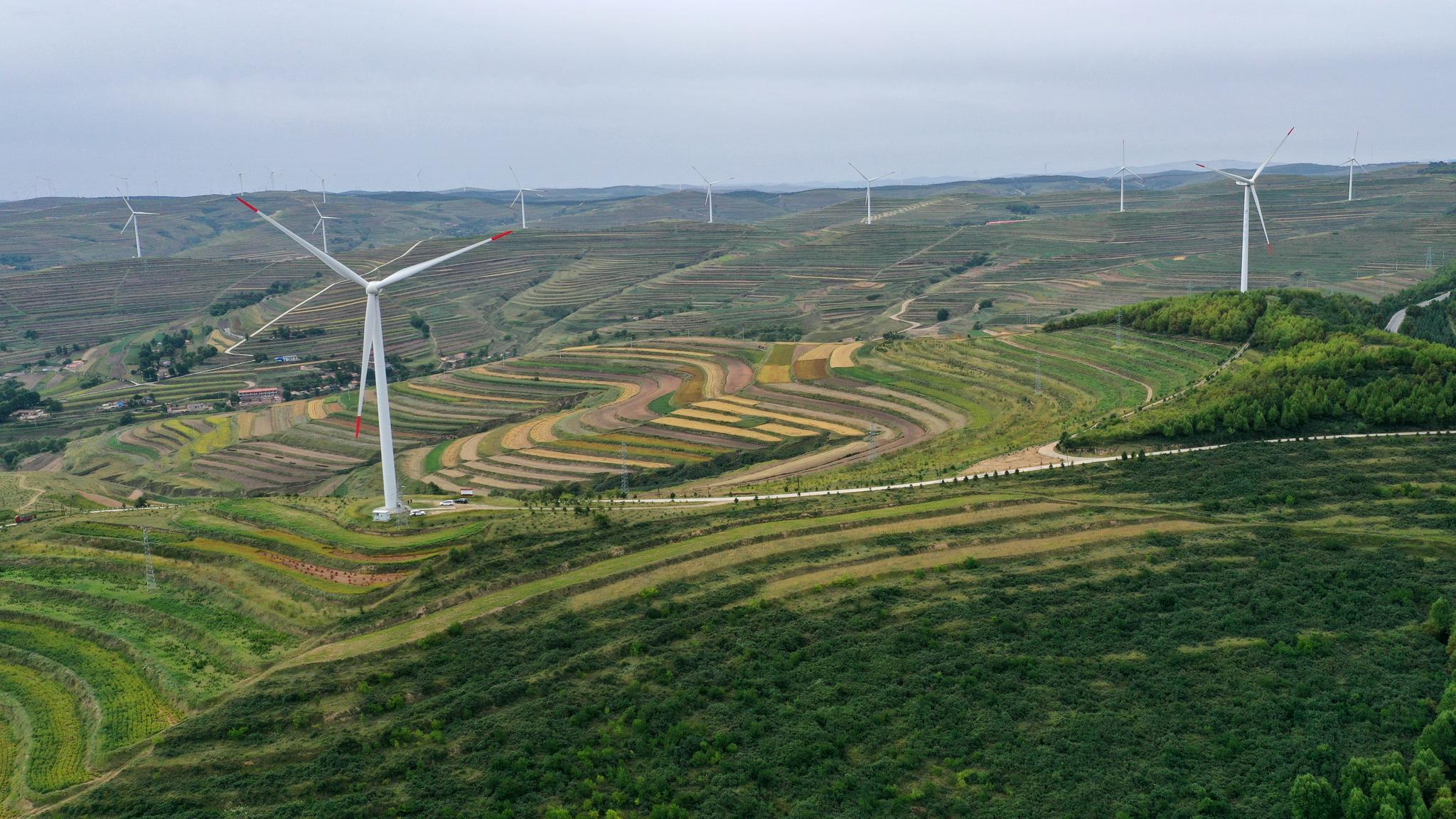 甘肃通渭:风机与梯田