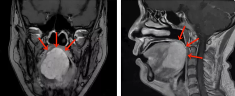 警惕休闲区蓝鸢梦想 - Www.slyday.coM