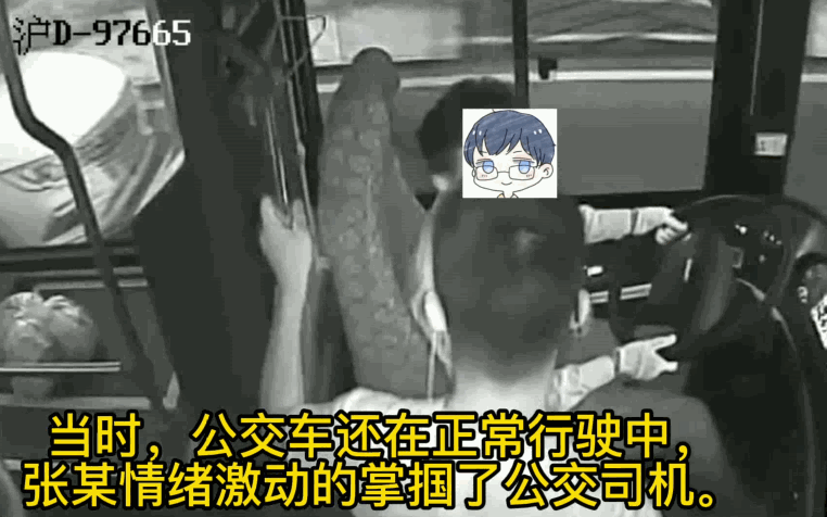 太冤了！ 男子带猫上公交，司机上海话提醒被当脏话辱骂