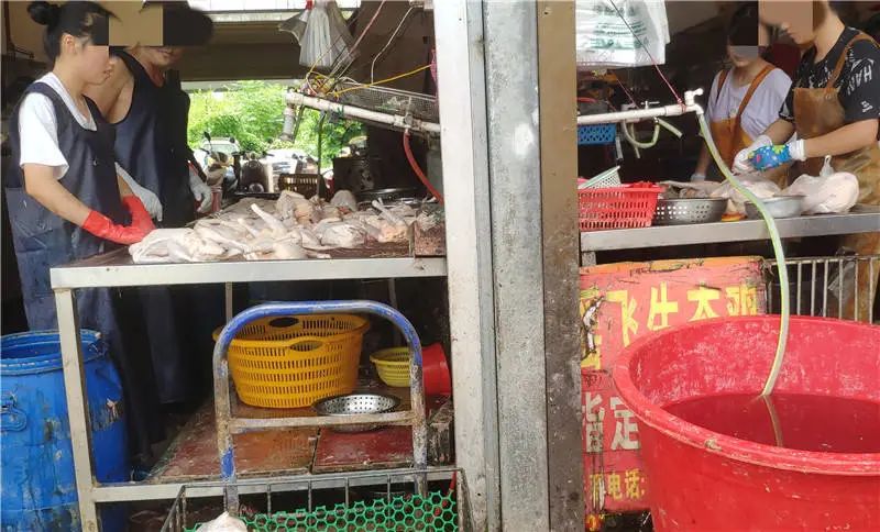 正文  中元节到,在南宁农产品交易中心禽畜市场,宰杀鸭子生意红火