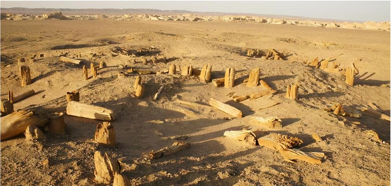 1998年楼兰盗墓案墓内突现彩棺却被盗墓贼拆成12块进行倒卖