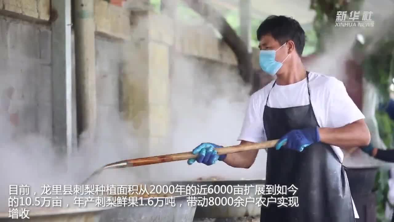 贵州龙里:小刺梨做成大产业|贵州龙里|农民_新浪新闻