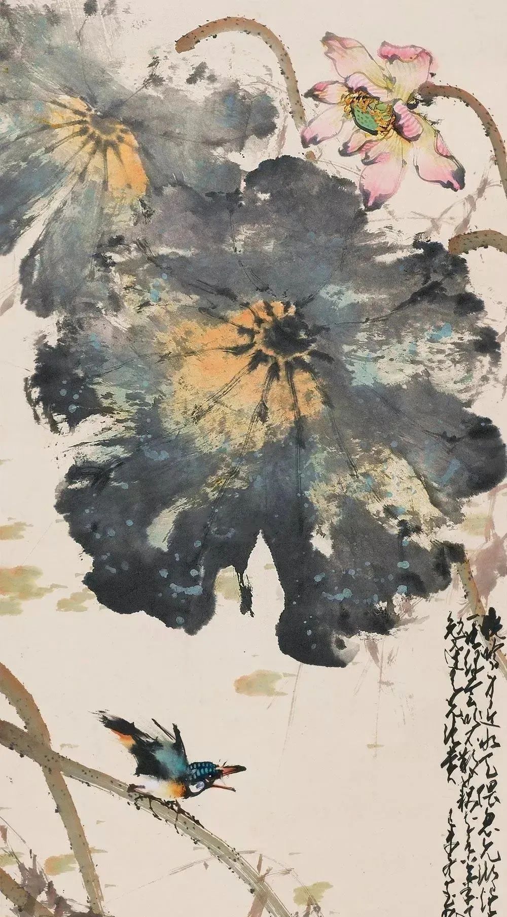 赵少昂的残荷之美惊艳了你的视觉