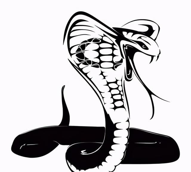 深圳居民卫生间惊现4米眼镜王蛇这种蛇究竟有多恐怖