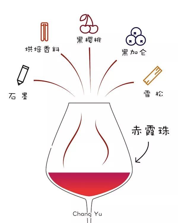 葡萄酒如何闻香葡萄酒闻香以香气的表现形式为线索即香气的印象