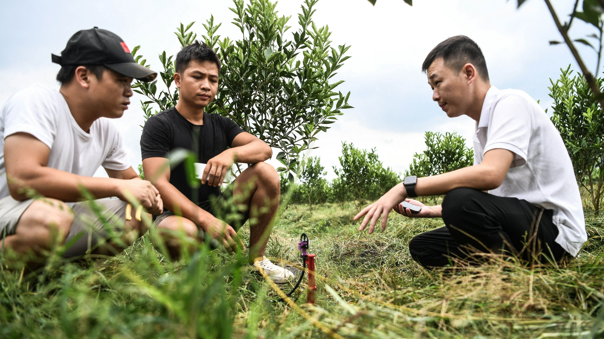 走进乡村看小康——青年韦小东返乡创业记