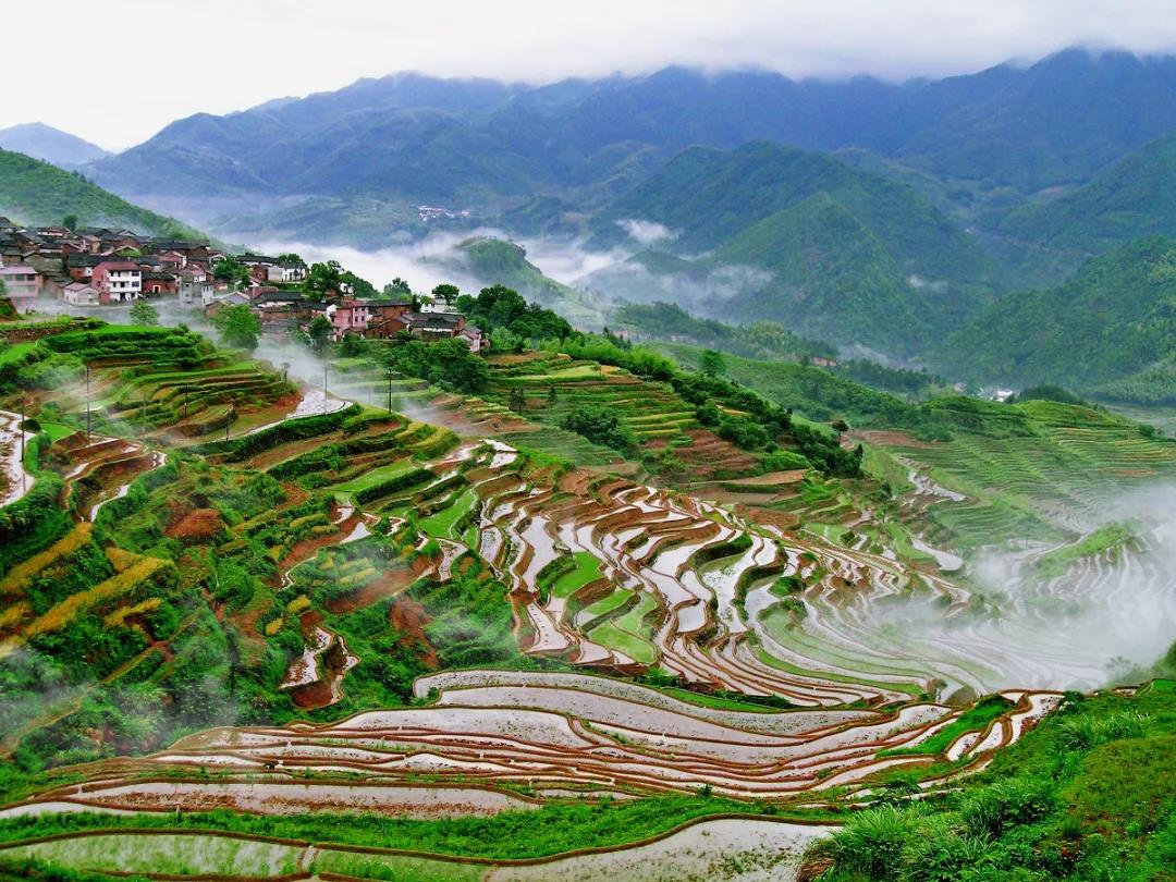 推进共同富裕建设美好社会丨塔石美丽经济像花儿绽放绿水青山间