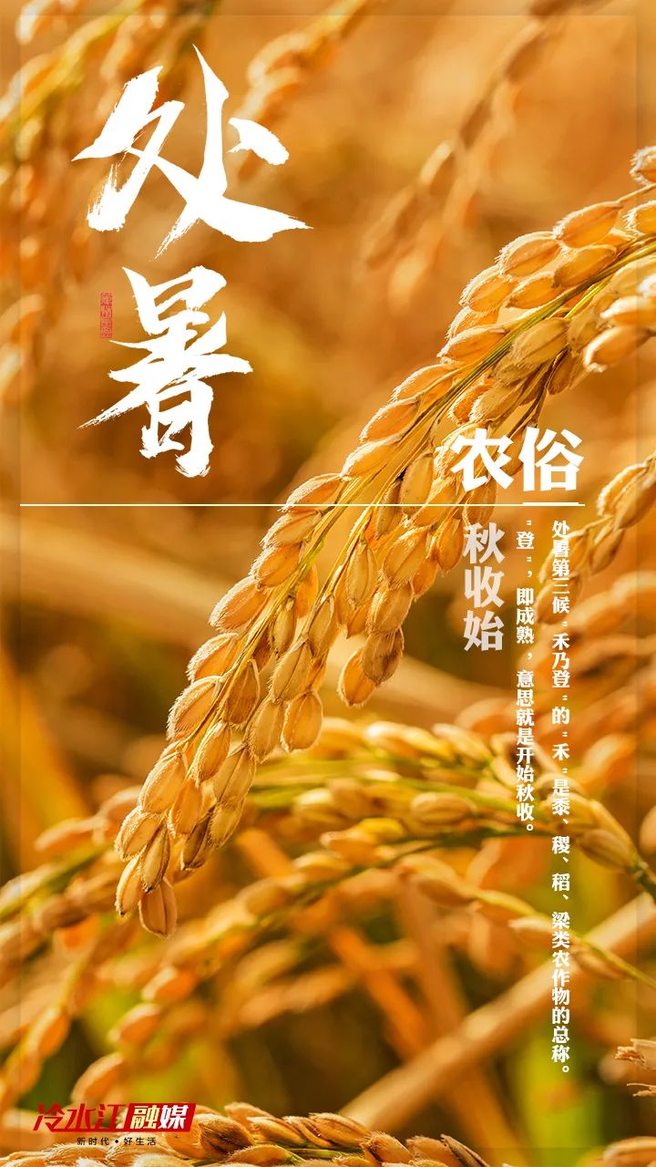 原创海报风吹落叶万物惊秋今日处暑