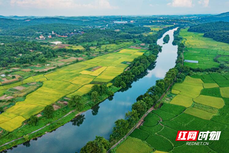 东安紫水国家湿地公园 | 水清岸绿生态美