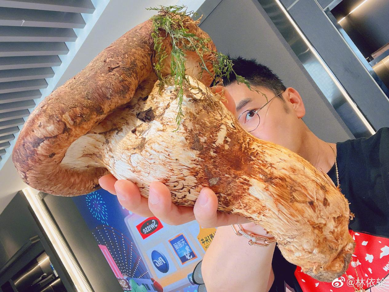 林依轮推荐云南松茸助力云菌出滇