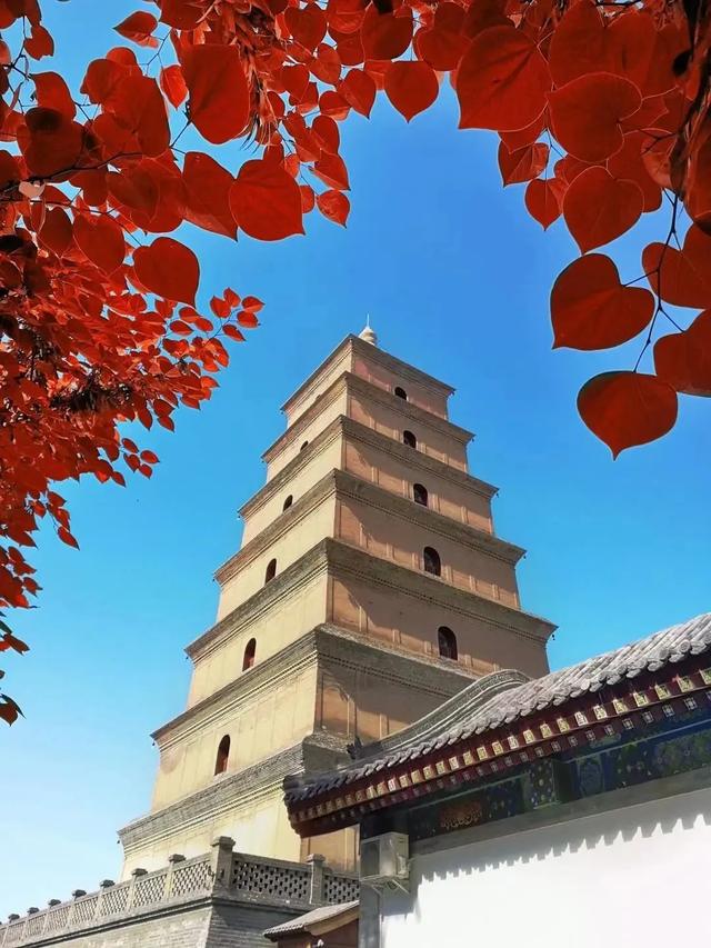 美丽秋景即将上线提前带你领略陕西的初秋之美