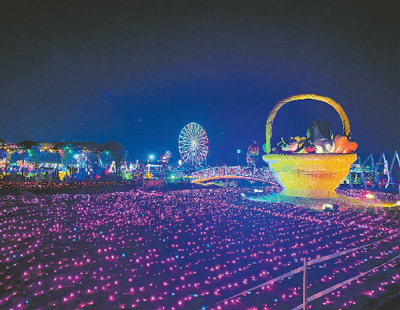 金灿灿的稻穗,神秘的生命之树……每当夜幕降临,宁波市江北区达人村