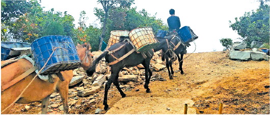 古老马帮穿行深山车轮到不了的地方就是主场
