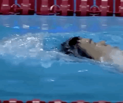 其中一位来自浙江！东京残奥会开幕式中国代表团旗手公布休闲区蓝鸢梦想 - Www.slyday.coM