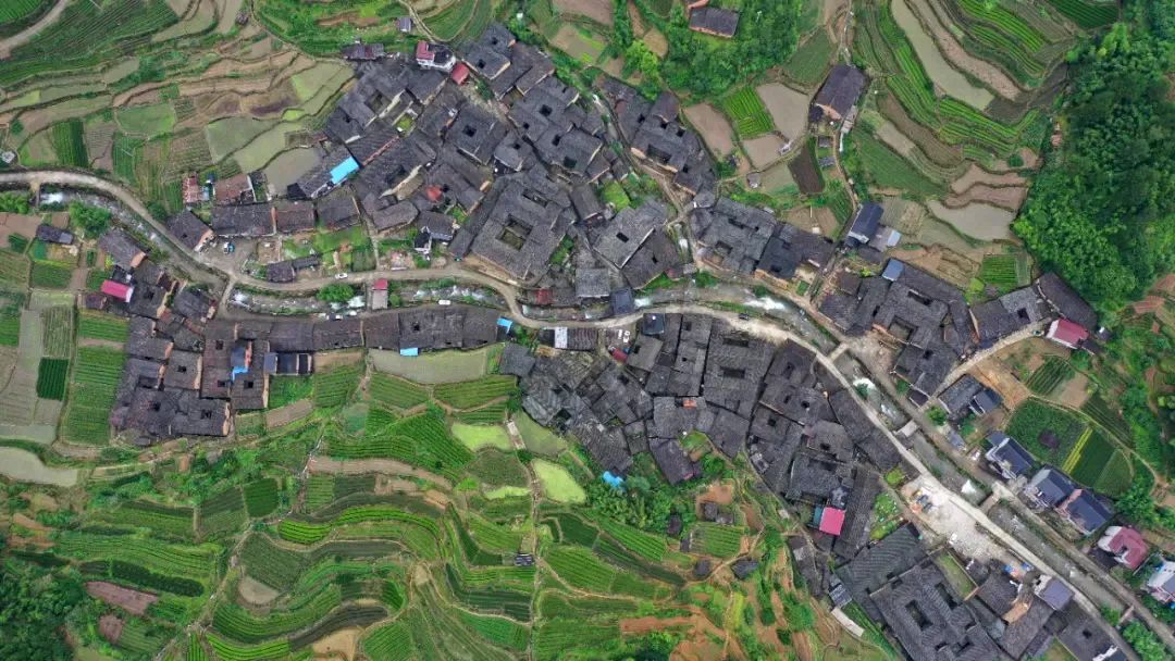 浙江深处,藏着他们__财经头条