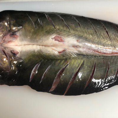 青花椒味烤黔鱼|汤勺|青花椒|鱼_新浪新闻