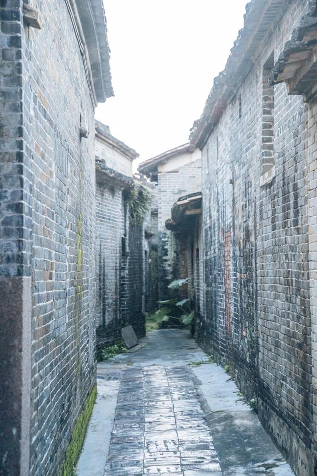 肇庆这个村子进去了可能都没有办法走出来因为他真的是太迷惑