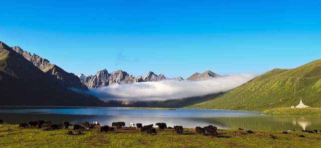 青海久治县,有年宝玉则神山,山峰壮观,湖泊清澈,还有遍地鲜花