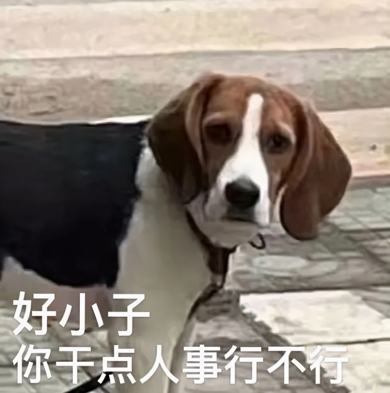 纽约州长骚下了台