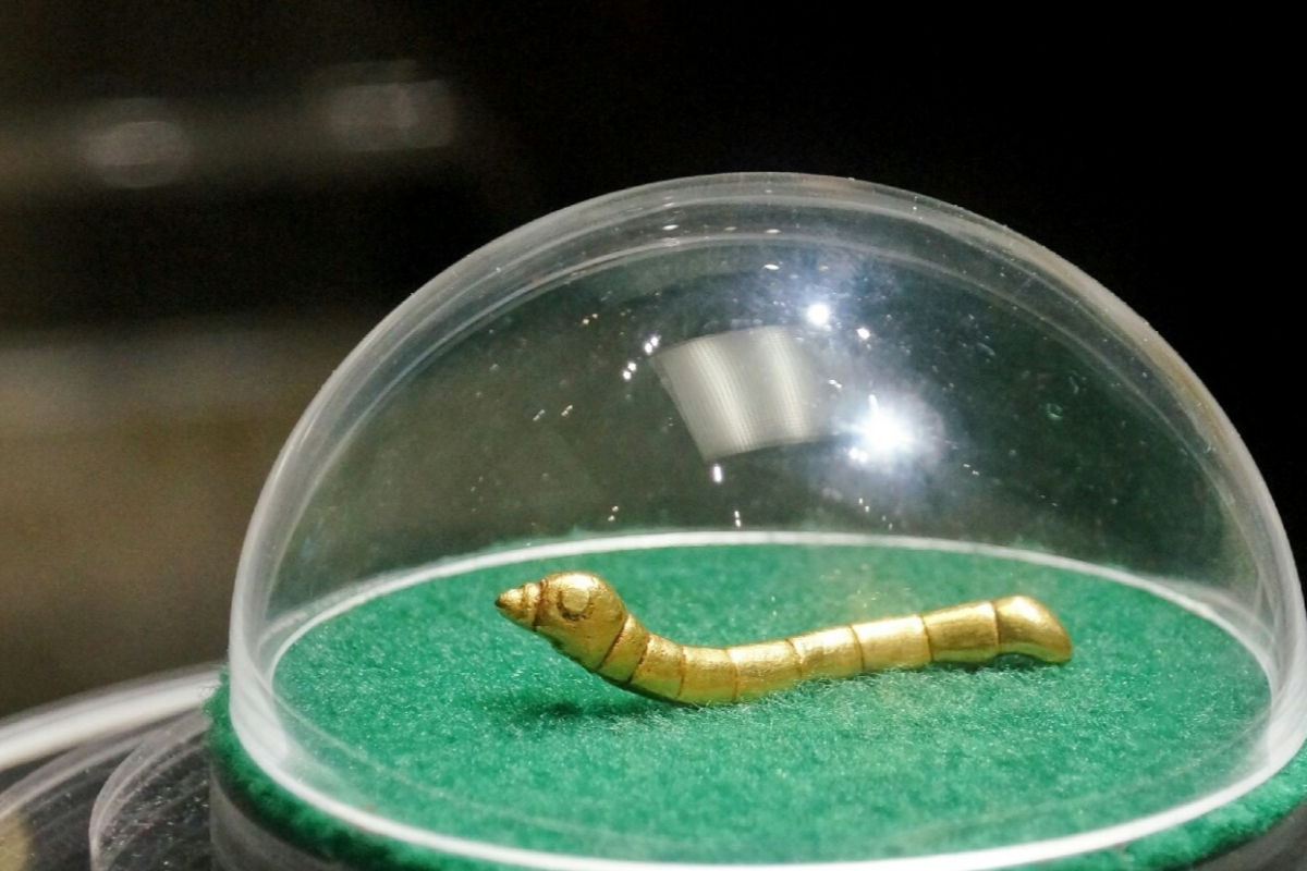 整个鎏金蚕一共有9个腹节,它的胸脚,腹脚和尾脚