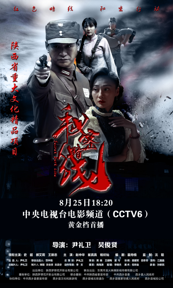 在中央电视台电影频道(cctv6)黄金时段首播