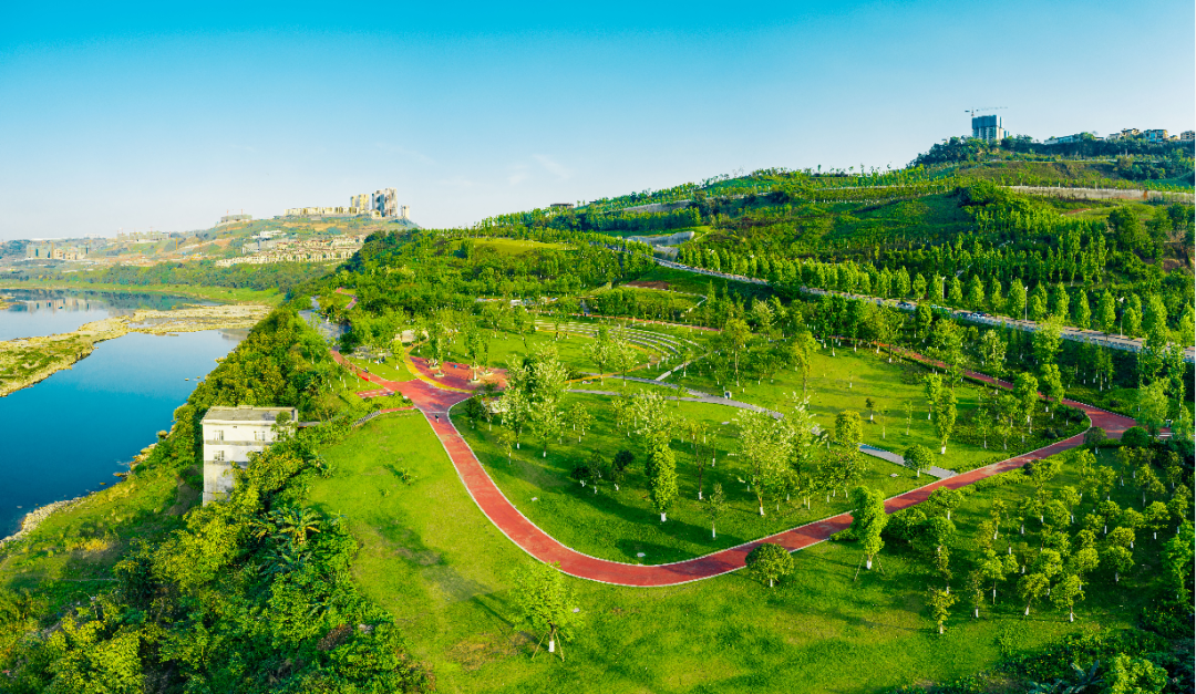 智博会来礼嘉了重庆c位还有什么可以期待