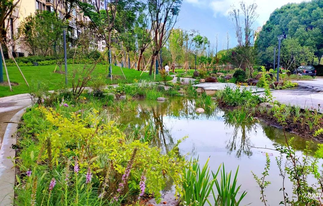 便民又添绿意松江奉贤这几处绿地公园对外开放