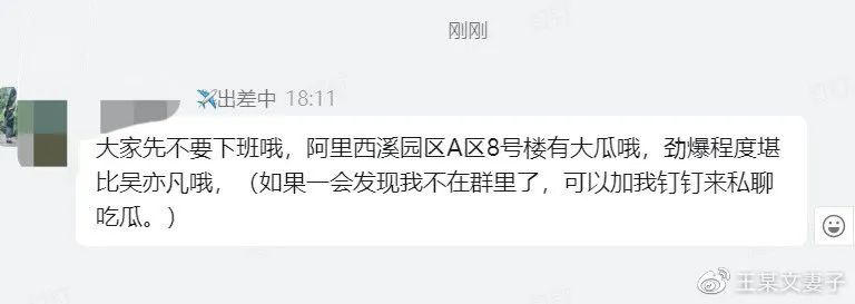 王某文妻子发文质疑“阿里女员工”休闲区蓝鸢梦想 - Www.slyday.coM